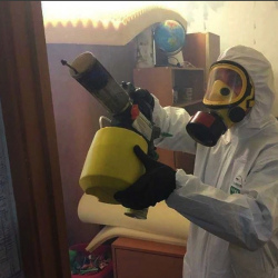 Уничтожение клопов в квартире. Магнитогорск